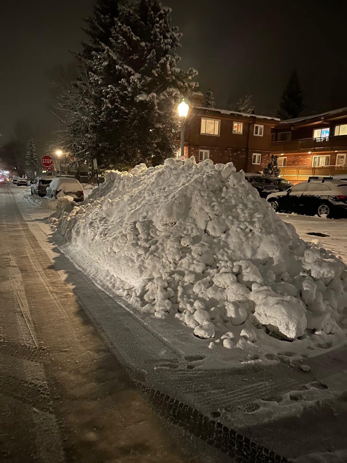 Aspen Condo Rentals (970) 3152208